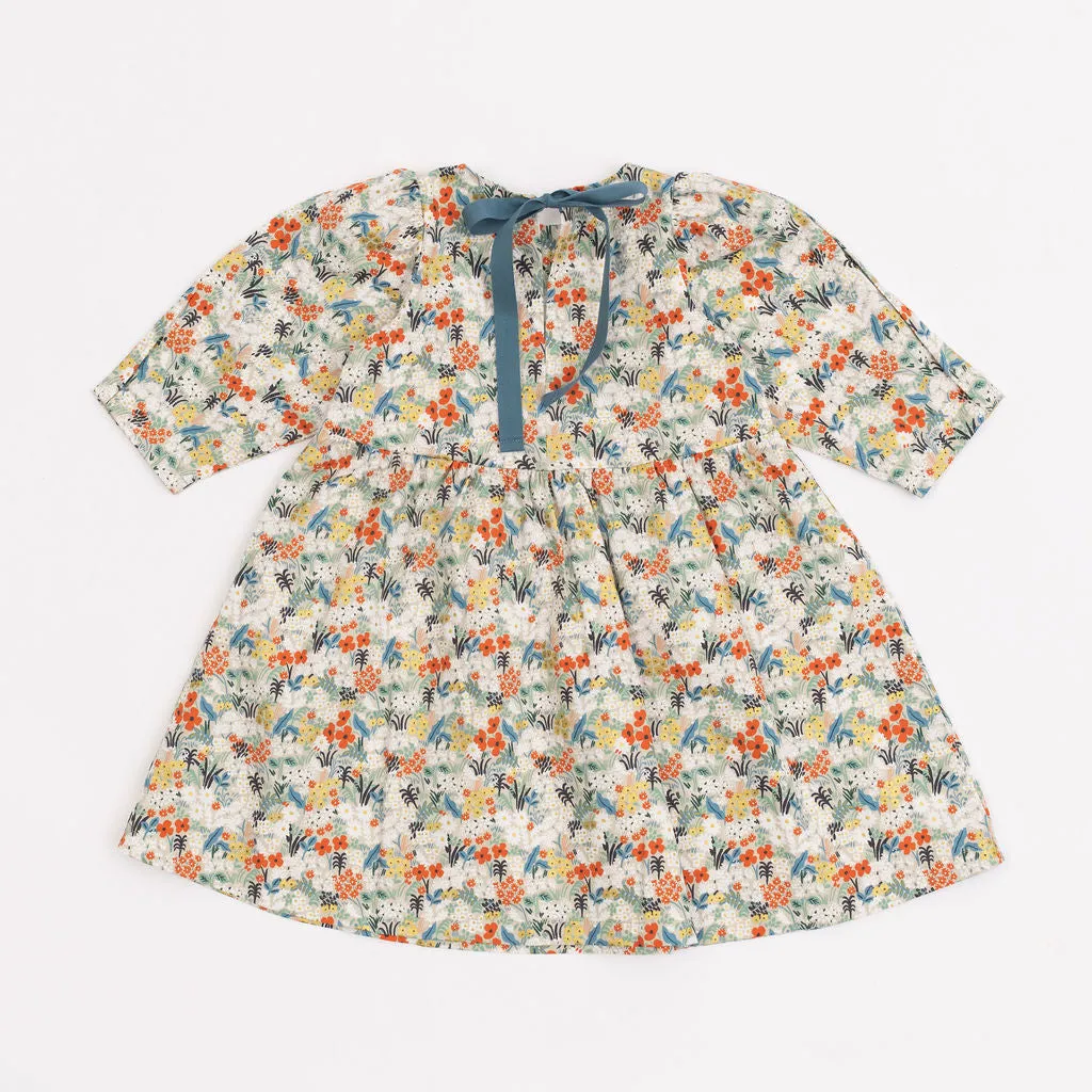 Birthday Dress in Meadow