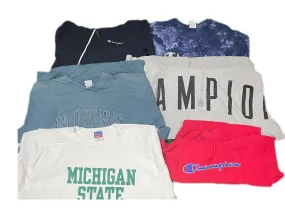 Champion hoodies and sweatshirt 17 pcs